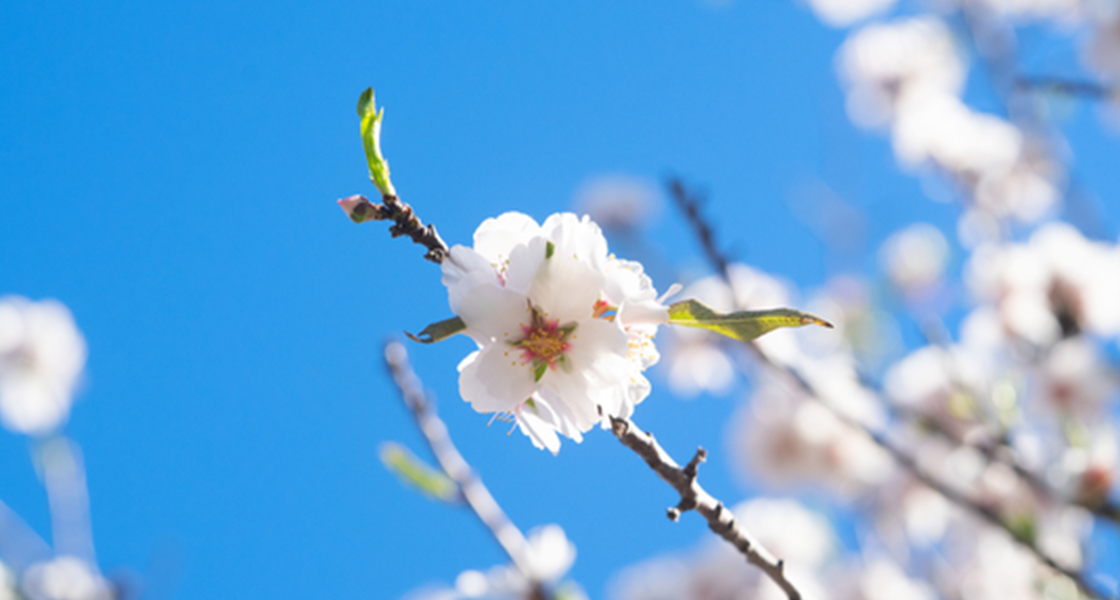 Aprile 2026 a Torino: eventi, fiere e appuntamenti da non perdere